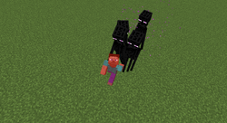 Minecraft: the Smaller Enderman Cage : 9 Steps - Instructables