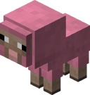 Baby Pink Sheep BE4