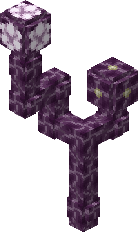 Chorus Plant Minecraft Wiki