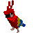 Dancing Red Parrot.gif