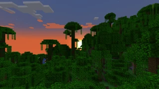 Puesta de sol en una jungla.