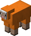Orange Sheep.png