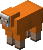 Orange Sheep