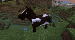 A horse.