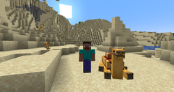 Camel – Minecraft Wiki