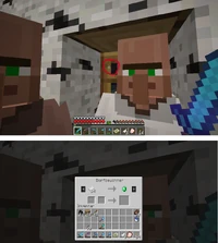 Hitbox-villager-too-large