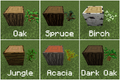 All saplings with their respective wood.