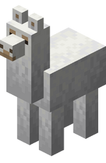 White Llama