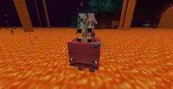 Strider Minecraft Wiki