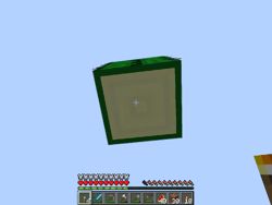 The bottom of a cactus seen with the "floating cactus" bug (see below).
