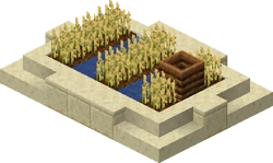 Desert Farm 1