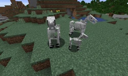 Skeleton horse