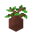 Potted Oak Sapling UNKVER2 (facing NWU).png