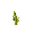 Stem Age 6 JE2.png