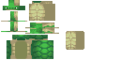 Turtle (texture).png
