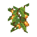 Cave Vines Plant (berries) JE1 BE1