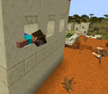 Steve crawling out of a window in a desert village.
