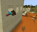 Steve crawling out of a window in a desert village.