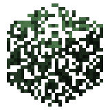 Spruce Leaves (inventory) JE12