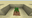 Dark Oak Sapling JE2.png