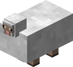 An overfed sheep.
