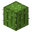 Cactus JE4.png