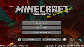 Java Edition 21w06a Official Minecraft Wiki