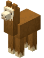 A llama.