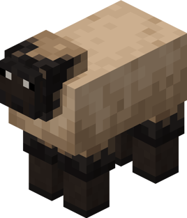 Long Nose Sheep