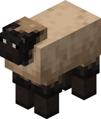 Long Nose Sheep