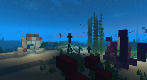 Coral reef at night.png
