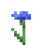 Cornflower (texture) JE1 BE1