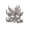 Dead Fire Coral JE1 BE1.png