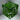 Jungle Leaves BE1