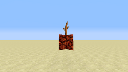 Melon Seeds Official Minecraft Wiki