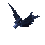 Raven Fly