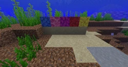 Todas as variantes de blocos de coral.