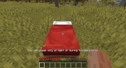 I found out which version of Minecraft I started on, I'm not using a bed  for the first few nights. (Version 1.2.1) : r/Minecraft