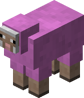 Magenta Sheep JE1