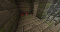 Mushrooms growing in a stronghold cell.