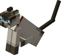 Chat Le Minecraft Wiki Officiel Chat Le Minecraft Wiki Officiel