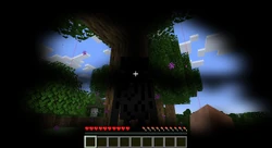 Guardare un'Enderman mentre si indossa una zucca fa sì che questi non attacchi il giocatore.