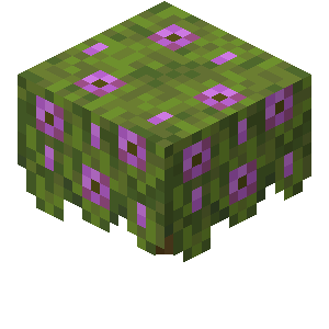 Fandom Minecraft Wiki