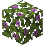 Flowering Azalea Leaves