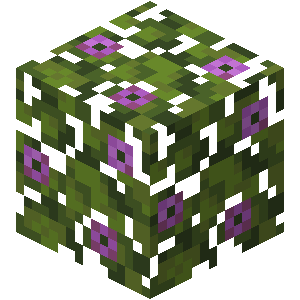 Hojas - Minecraft Wiki