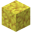Horn Coral Block