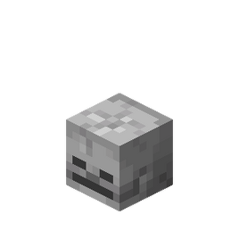  Esqueleto