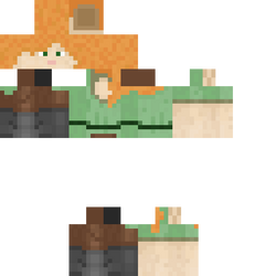 Skin Official Minecraft Wiki