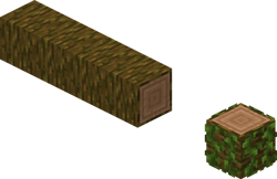 Jungle Fallen Log