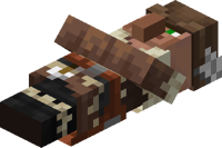 Lying Taiga Fletcher.png